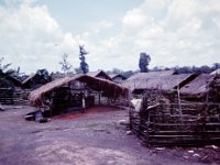 Visiting the Montagnard Village Near Phouc Vinh.